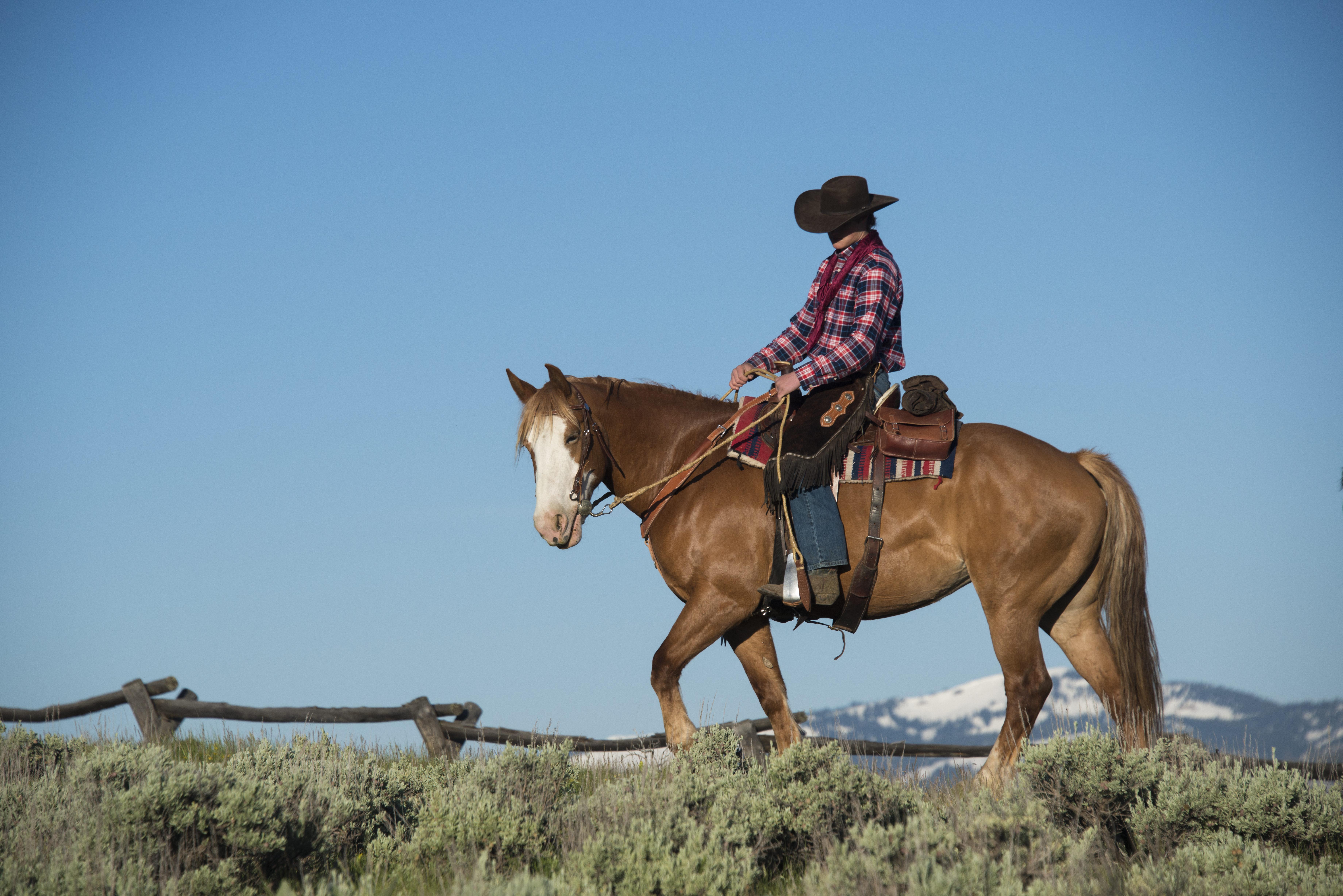 Horseback Riding at Spring Creek Ranch