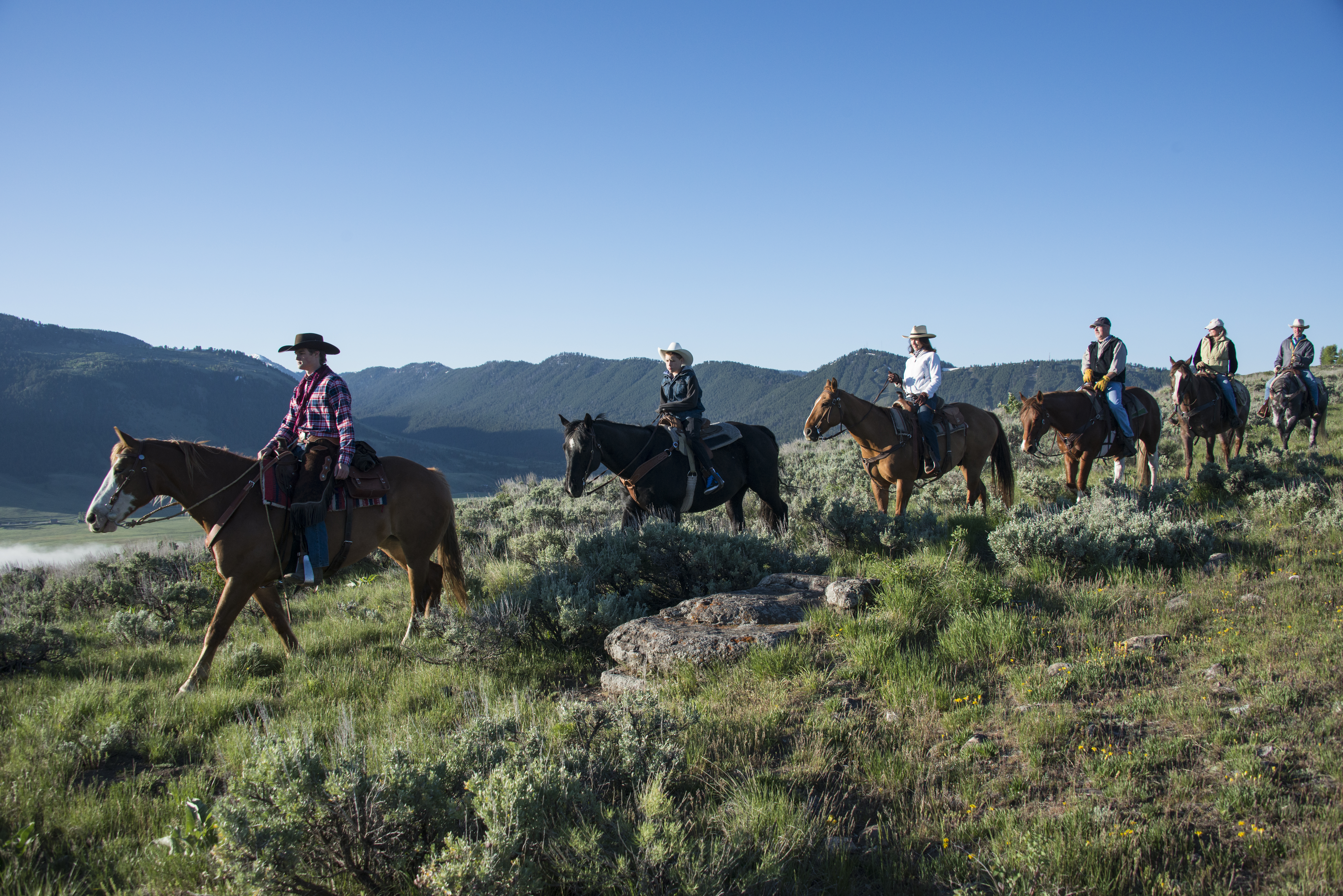 Horseback Riding at Spring Creek Ranch