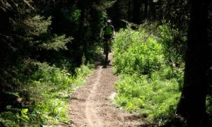 cycling in Jackson Hole