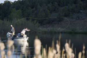 Fly Fishing