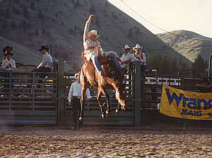 jackson hole rodeo