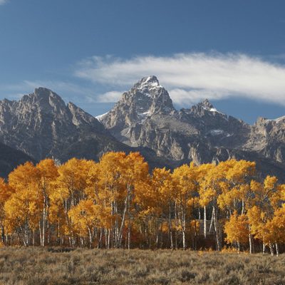 4 Easy Fall Hikes Near Jackson that We Love