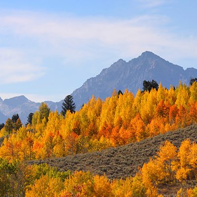 4 Easy Fall Hikes Near Jackson that We Love