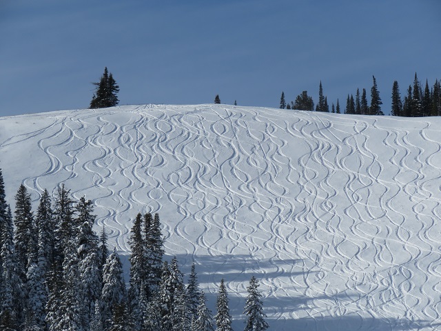 Teton Pass Ski Tracks