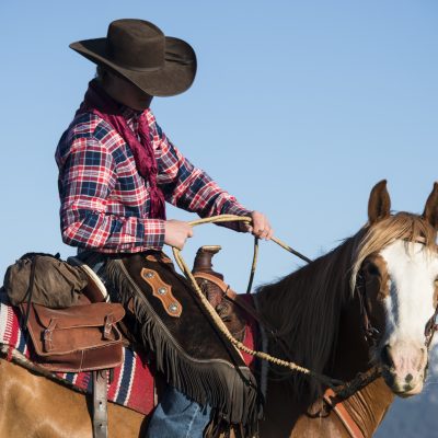 Horseback Riding