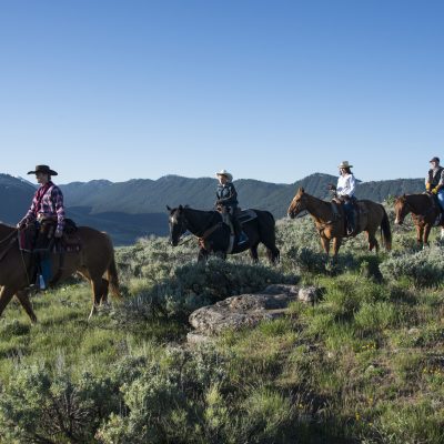 Horseback Riding