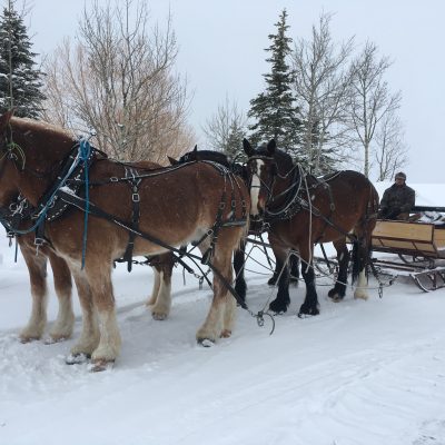 Sleigh Rides