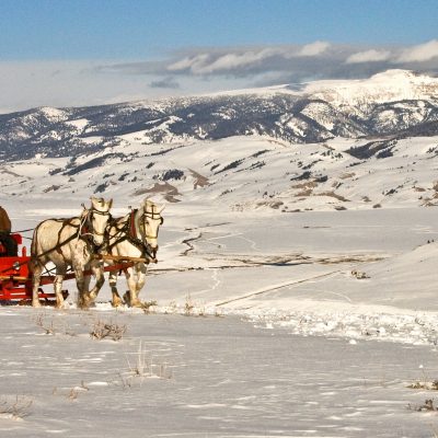 Sleigh Rides