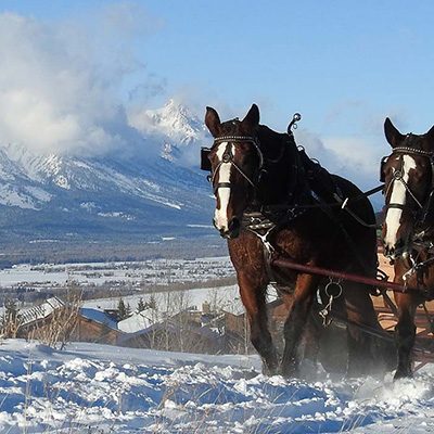 Sleigh Rides