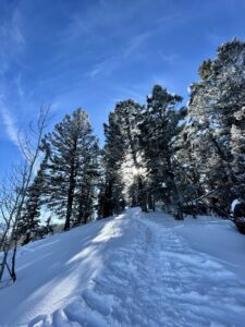 Snowshoe Hike