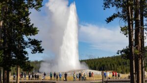 Old Faithful Adventure
