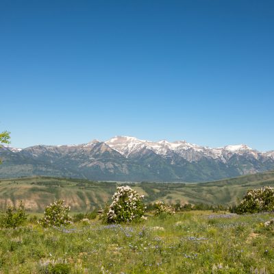 Grand Outlook